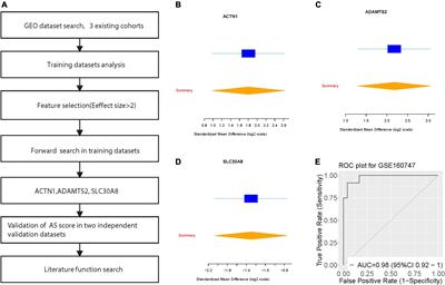 Identification of key biomarkers in Angelman syndrome by a multi-cohort analysis